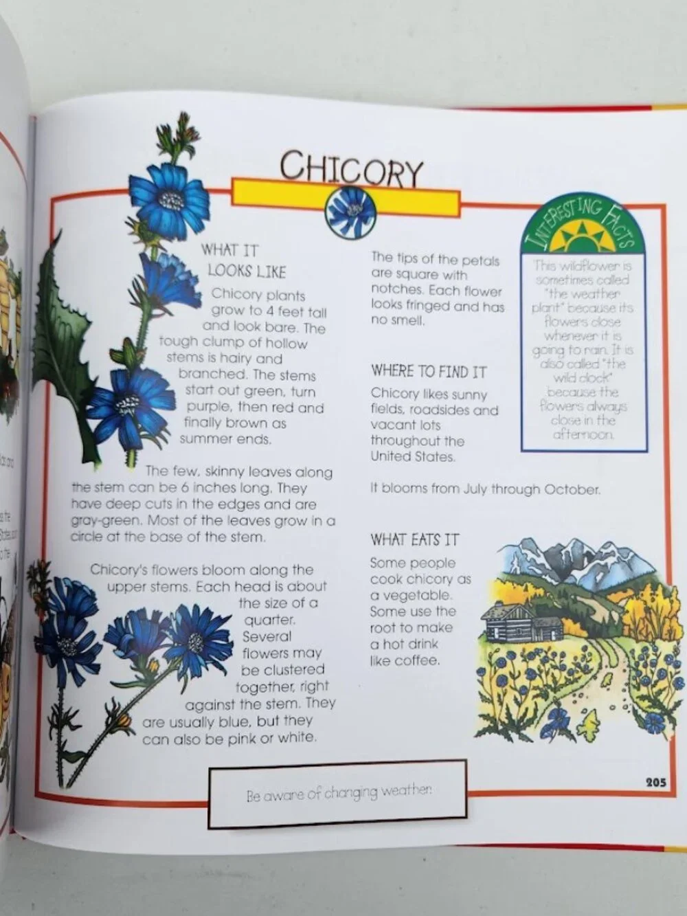 More Fun With Nature Take Along Guides Hardcover Book Activity Journal Craft Wor